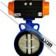 Butterfly-Valve