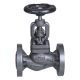 av-251a-cast-iron-globe-steam-stop-valve-flanged-ends-pn-10-500x500