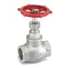 ic-40-investment-casting-stainless-steel-cf8-globe-valve-no-4-screwed-ends-pn-16